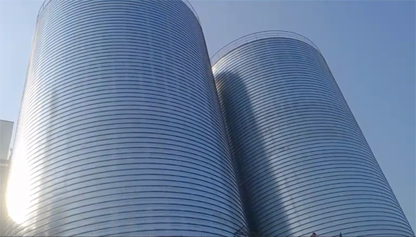 洞口2座混凝土高架卷板仓